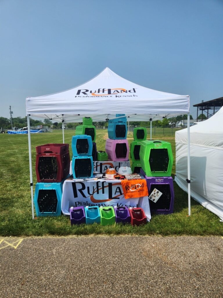 349016484 923236642282105 1139699188768964314 n 1152x1536